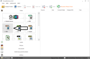 How to Convert Dual Audio Movie to Single Audio?