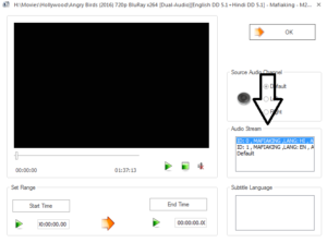 How to Convert Dual Audio Movie to Single Audio?