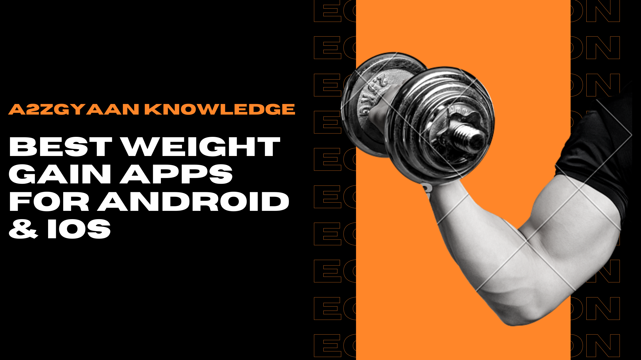 8 Best Weight Gain Apps for Android and iOS in 2023 - A2Z Gyaan